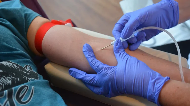 Benarkah Donor Darah Membuat Gemuk?
