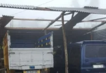 Pohon Tumbang Timpa Teras Warga Karangmojo