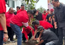 Tanam Pohon di Yogyakarta, Hasto Kristiyanto Ajak Kader Tangani Sampah
