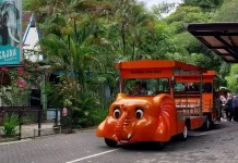 Sambut Imlek, GL Zoo Gelar Karnaval, Ada Barongsai hingga Kuda Lumping