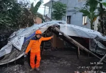 Pohon Bertumbangan Pasca Hujan Deras di Kota Yogyakarta