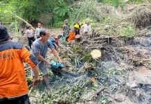 Cuaca Ekstrem Picu Pohon Tumbang hingga Tanah Longsor