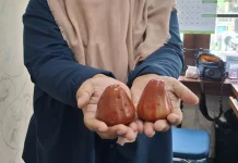 Indikasi Geografis, Senjata Produk Lokal DIY Tembus Pasar Global