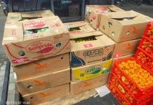 Program MBG Tingkatkan Omzet Pelaku Usaha dan Buka Lapangan Kerja Baru