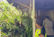 Tanah Longsor Jebol Rumah Lansia di Kokap