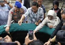 Jaga Ekosistem Lokal, Dinas Perikanan Bantul Musnahkan 7 Ikan Aligator