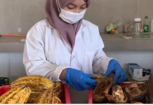 Mahasiswi UNU Riset Pangan Lokal untuk Cegah Diabetes