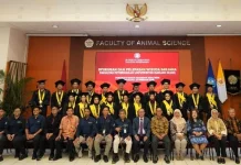 Lulusan Fakultas Peternakan UGM 42 Persen Cum Laude