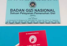 Wayo Strawberry Distribusikan Ribuan Buah ke Dapur SPPG