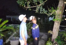 Korslet Listrik, Kabel PLN di Sabdodadi Keluarkan Percikan Api