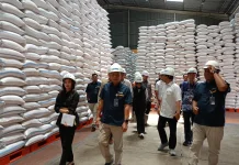 Ketersediaan Beras di DIY Aman, Bulog Sebut Stok Mencapai 48.000 Ton