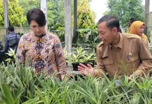 Jogja Agro Park Dikembangkan sebagai Pusat Pertanian Kulon Progo