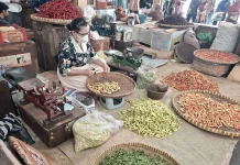 Harga Cabai Rawit Meroket, Penjual Gudeg Yogyakarta Hanya Bisa Pasrah