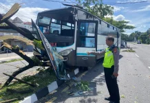 Hindari Pemotor, Bus Tabrak Pohon dan Tiang Lampu di Ring Road Selatan