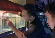 Desa Wisata Dewi Kajii Lakukan Promosi Digital