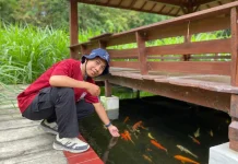 Tips Merawat Ikan Koi Agar Tetap Sehat