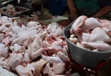 Mendekati Lebaran, Harga Ayam di Pasar Beringharjo Bertahan Tinggi