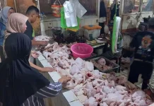 Harga Daging Ayam di Yogyakarta Naik, Pedagang Sebut karena MBG