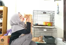 Momi Kiti, Penitipan Anabul untuk Misi Penyelamatan