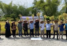 Padi Galon "JUL 14", Inovasi Bertani Bersih Solusi Ketahanan Pangan di Lahan Sempit