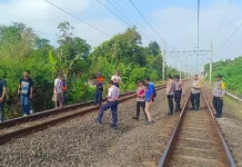 Bermain di Dekat Rel, Anak 4 Tahun Meninggal Dunia Tertabrak KA Gajayana
