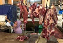 Rupiah Melemah, Harga Pangan Ikut Terancam Naik?