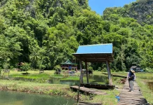 Dosen UGM: Hutan RI Tidak Sedang Baik-baik Saja