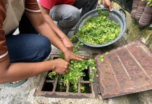 Perang Iran Picu Krisis, Peluang Pupuk Organik Terbuka