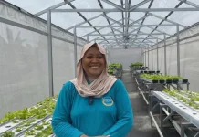 Geliat Ekonomi Hijau Aktiva Jaya Mampu Hasilkan Panen Bernilai Juta Rupiah