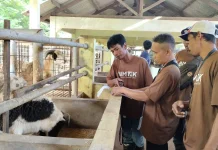 Konsep Close Loop, Kunci Peternakan Jadi Lebih Efisien