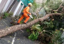 BPBD Kota Yogyakarta Waspadai Potensi Cuaca Ekstrem Pancaroba