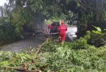 Empat Kapanewon di Sleman Terdampak Hujan Angin