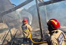 Bangunan Bekas Kandang Puyuh di Berbah Sleman Dilalap Api
