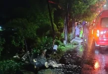 Hilang Kendali, Mobil Terperosok ke Jurang 6 Meter di Kalasan