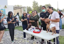 Hewan Peliharaan dalam Kondisi Darurat, Segera Lakukan ini