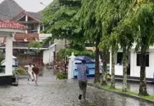 Sleman, Gunungkidul, dan Kulon Progo Berpotensi Hujan Disertai Petir dan Angin