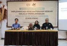 Permintaan Telur Bebas Sangkar Meningkat