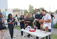 PawSAFE 2026 Dorong Kepedulian Sosial dan Perlindungan Hewan di Yogyakarta