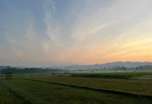 Minat Petani Asuransikan Lahan Padi di Gunungkidul Rendah