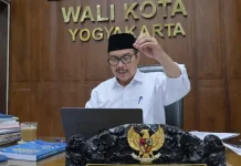 Hasto Bakal Sweeping Seluruh Daycare Buntut Kekerasan di Daycare Little Aresha