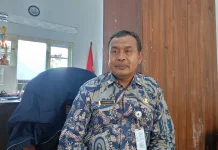Evakuasi Sarang Tawon di Sleman Membludak, Damkar Tangani Ratusan Kasus pada 2026