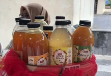 Minat Generasi Muda terhadap Jamu Dinilai Masih Rendah
