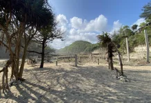 WALHI Yogyakarta Soroti Rencana Penutupan Pantai Sanglen Gunungkidul