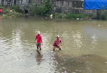 Ledakan Ikan Sapu-sapu Jadi Indikator Air Sungai Tercemar