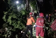 Respon Cepat Kebencanaan, BPBD DIY Lakukan ini