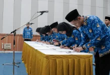 Pahami Perbedaan Jabatan Fungsional dan Pelaksana sebelum Daftar CPNS