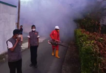 Waspada Chikungunya, Dinkes Kulon Progo Fogging Wilayah Graulan, Giripeni