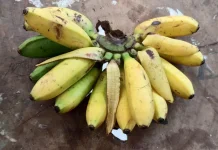 Pisang, Salah Satu Makanan yang Mampu Meningkatkan Suasana Hati