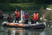 Ancam Ekosistem Lokal, Ikan Sapu-Sapu di Rawa Kalibayem Diberantas