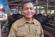 TPID Yogyakarta Pantau Kesehatan Hewan Kurban jelang Iduladha
